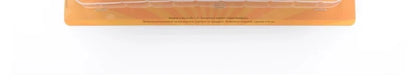 1/43 Scale LAZ-699R Intercity Coach Model Bus